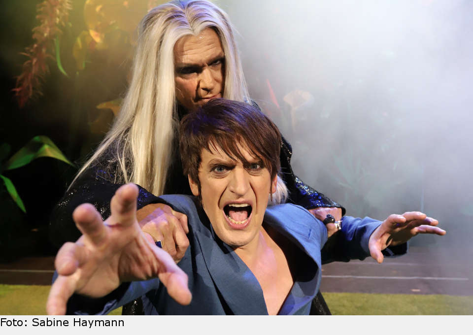 everyman musical pforzheim 01